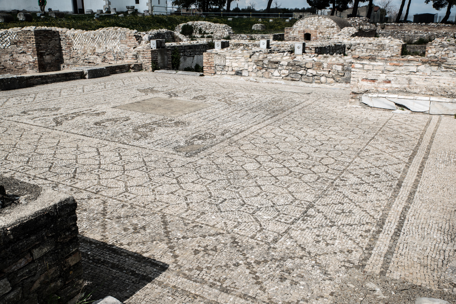 storia romana, parco archeologico, Venosa, mosaico, terme, frigidarium